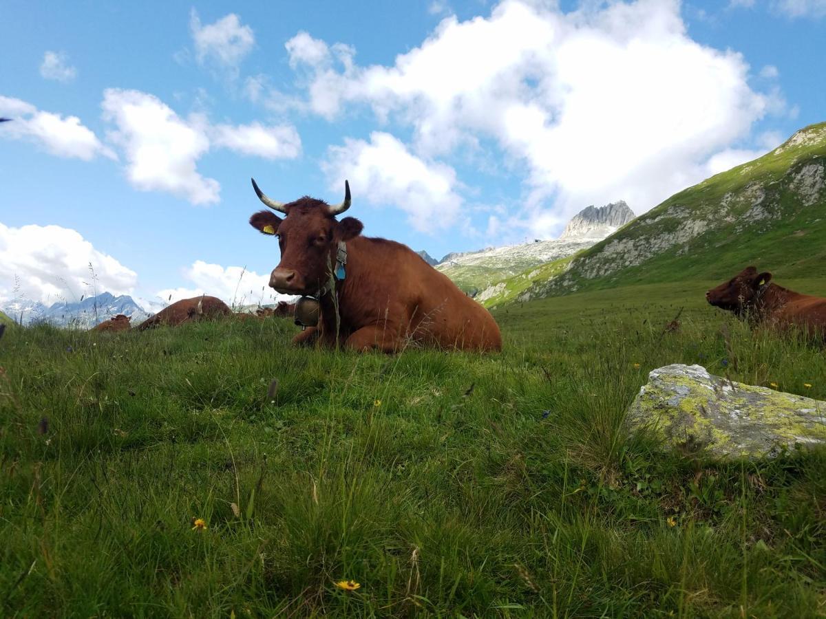 Tgesa Felici Appartement Sedrun Buitenkant foto